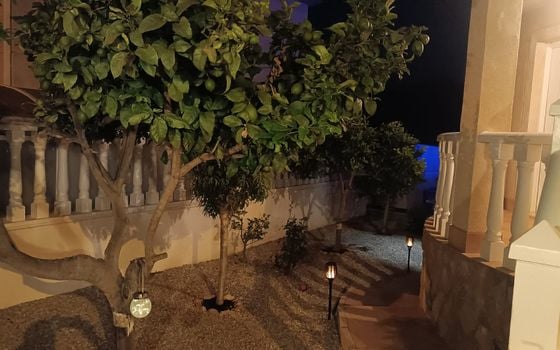 3 bedroom Villa in Pinar de Campoverde - OKW155639 - Photo - Small - 40