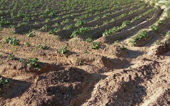  Plot in Orihuela- DPR155870 - Photo - Small - 11