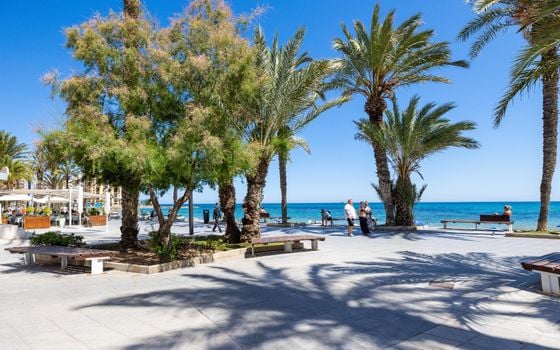  Apartment in Torrevieja- AG156085 - Photo - Small - 23