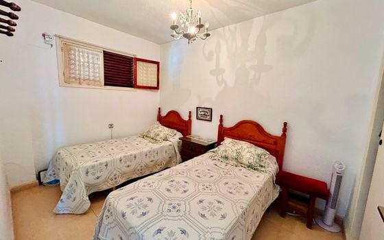 3 bedroom Apartment in Torrevieja - SLI156112 - Photo - Small - 14