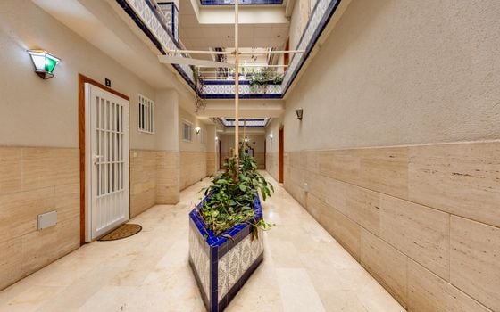 2 bedroom Penthouse in Torrevieja - CYM156292 - Photo - Small - 20