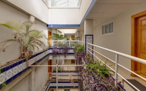 2 bedroom Penthouse in Torrevieja - CYM156292 - Photo - Small - 19