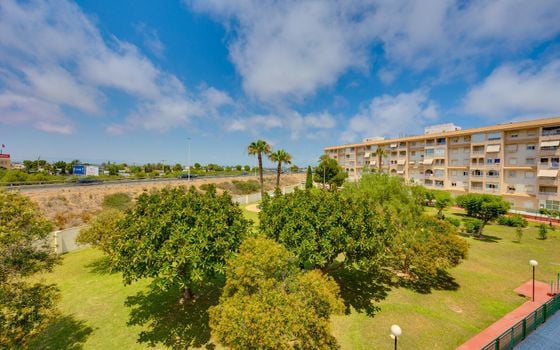 2 bedroom Apartment in Torrevieja - CYM156293 - Photo - Small - 27