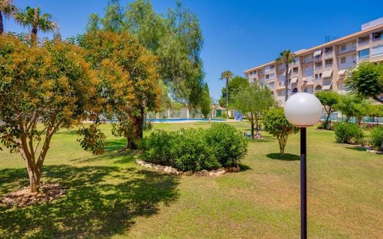 2 bedroom Apartment in Torrevieja - CYM156293 - Photo - Small - 25