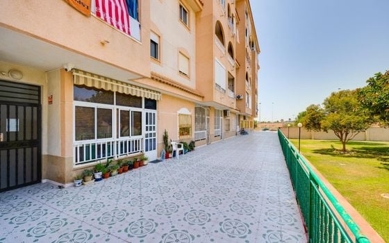 2 bedroom Apartment in Torrevieja - CYM156293 - Photo - Small - 22
