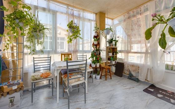 Bungalow de 2 chambres à Torrevieja - CYM156295 - Photo - Small - 18