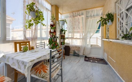 Bungalow de 2 chambres à Torrevieja - CYM156295 - Photo - Small - 19