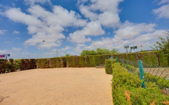Bungalow de 2 chambres à Torrevieja - CYM156295 - Photo - Small - 28