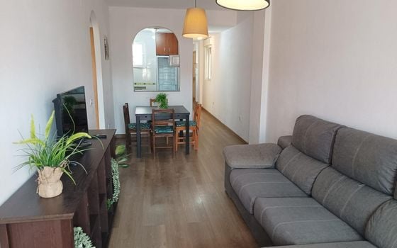 3 bedroom Apartment in Torrevieja - AG156311 - Photo - 3