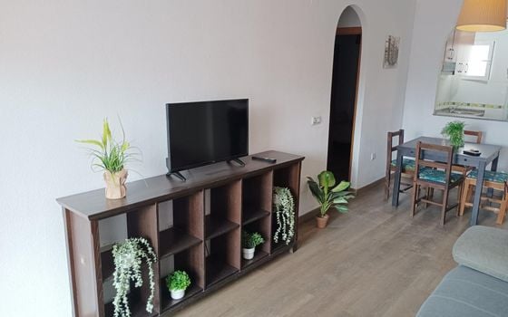 3 bedroom Apartment in Torrevieja - AG156311 - Photo - 4