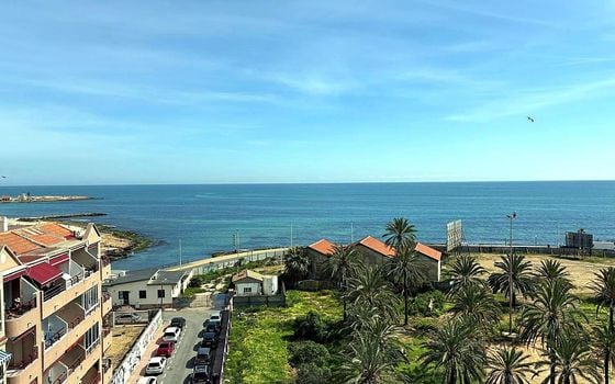 2 bedroom Apartment in Torrevieja - AG156511 - Photo - Small - 17