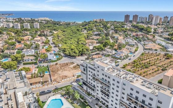 2 Schlafzimmer Appartement in Dehesa de Campoamor - AG157692 - Foto - Small - 42