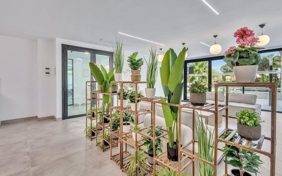 2 Schlafzimmer Appartement in Dehesa de Campoamor - AG157692 - Foto - Small - 38