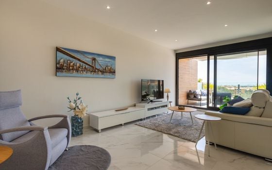 2 bedroom Penthouse in Villamartin - LEA156596 - Photo - 2
