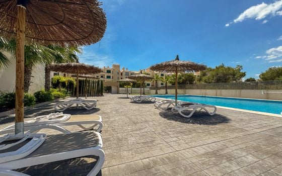 2 bedroom Penthouse in Villamartin - LEA156596 - Photo - Small - 34