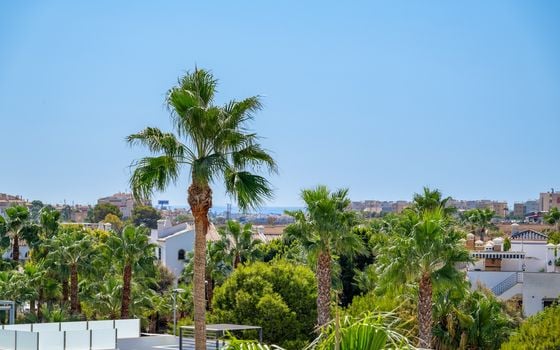 3 bedroom Villa in Villamartin - CBW156660 - Photo - Small - 38