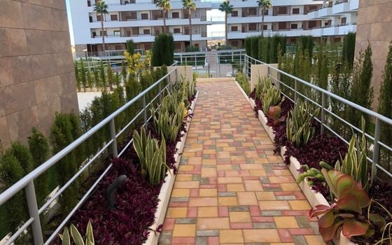 2 bedroom Apartment in Lomas de Cabo Roig - SID156850 - Photo - Small - 17