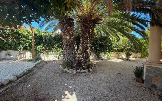 3 bedroom Villa in Ciudad Quesada - CSW156910 - Photo - Small - 11