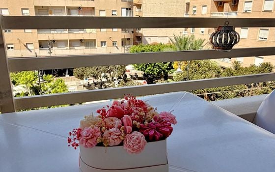 2 bedroom Apartment in Torrevieja - AV156914 - Photo - Small - 19