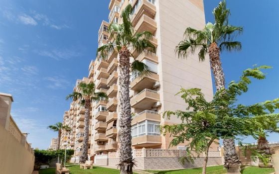 2 bedroom Apartment in Torrevieja - ET156975 - Photo - Small - 18