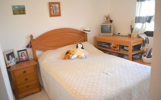 3 bedroom Villa in Guardamar del Segura - JL157180 - Photo - Small - 14