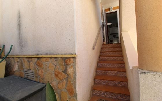 - IMC157229 - Photo - Small - 24