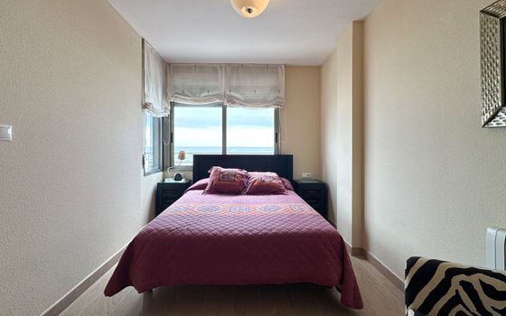 4 bedroom Apartment in Torrevieja - RCJ157238 - Photo - Small - 15
