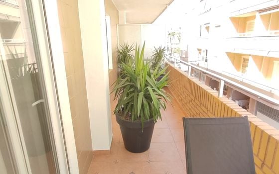3 bedroom Apartment in Torrevieja - ET157410 - Photo - Small - 21