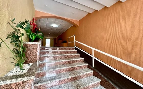 1 bedroom Apartment in Torrevieja - AG157441 - Photo - Small - 17