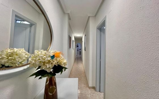 1 bedroom Apartment in Torrevieja - AG157441 - Photo - Small - 14