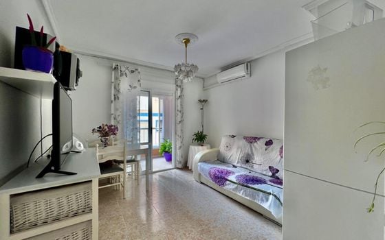 1 bedroom Apartment in Torrevieja - AG157441 - Photo - 2