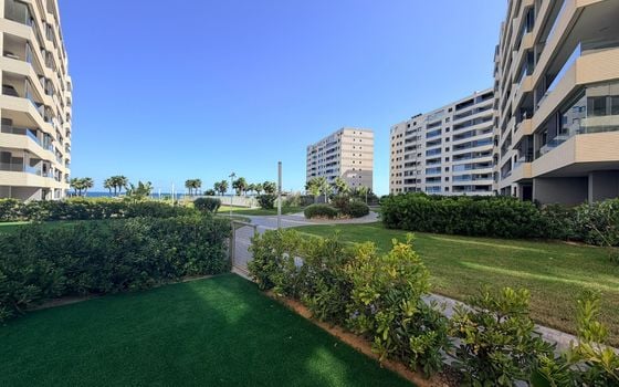 Appartement de 2 chambres à Punta Prima - LR157503 - Photo - Small - 22