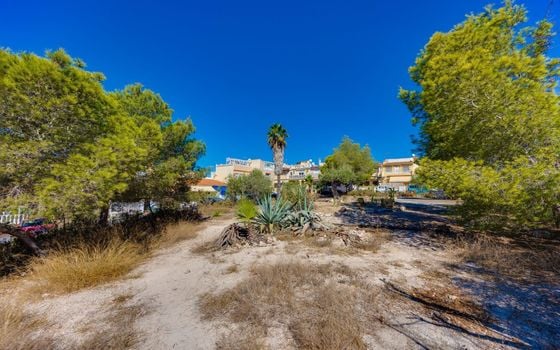 2 bedroom Bungalow in La Marina - HRE157507 - Photo - Small - 29