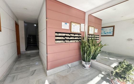 Appartement de 2 chambres à Torrevieja - HRE157508 - Photo - Small - 13