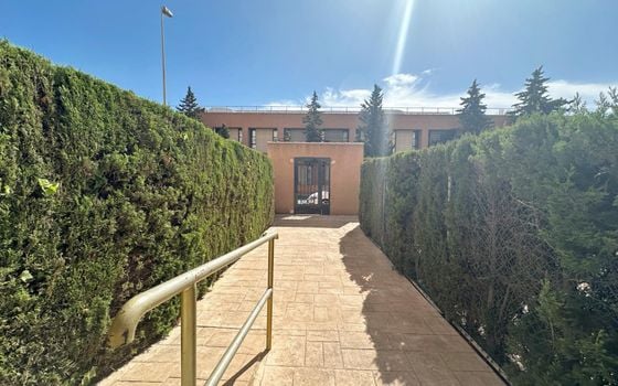 Appartement de 2 chambres à Torrevieja - HRE157508 - Photo - Small - 14