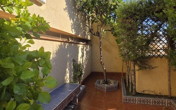 3 bedroom Bungalow in Torrevieja - PPS157519 - Photo - Small - 24