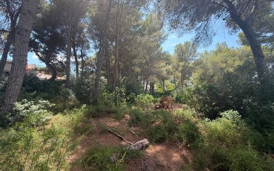  Plot in Javea- PVJ157522 - Photo - 2
