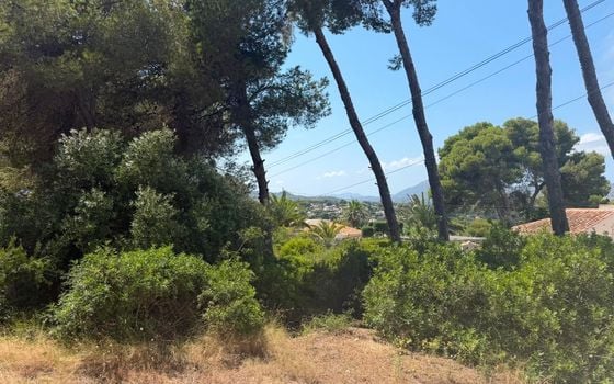 Plot in Javea- PVJ157522 - Photo - 3