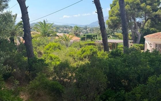  Plot in Javea- PVJ157522 - Photo - 4