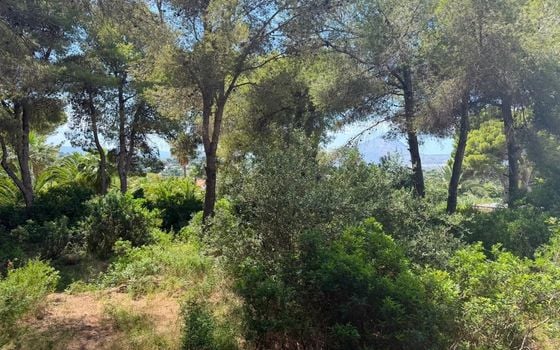  Plot in Javea- PVJ157522 - Photo - 5