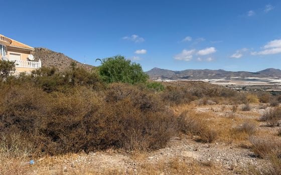  Plot in Mazarron- PVJ157524 - Photo - Small - 9