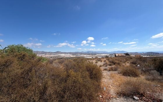  Plot in Mazarron- PVJ157524 - Photo - Small - 10