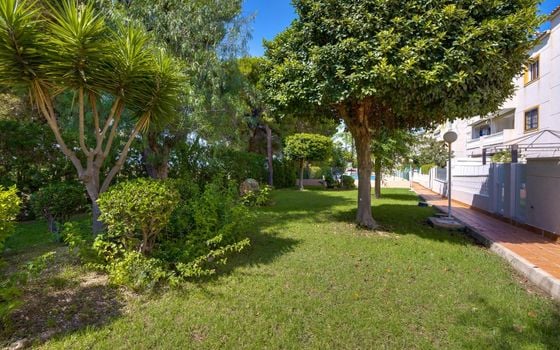 2 bedroom Penthouse in La Mata - JLM157530 - Photo - 3