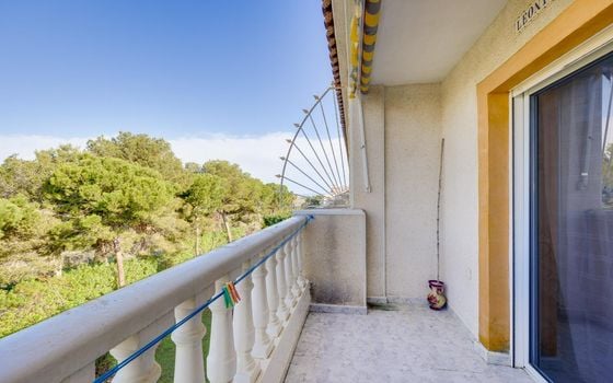 2 bedroom Penthouse in La Mata - JLM157530 - Photo - Small - 20