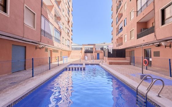 1 bedroom Apartment in Torrevieja - AG157688 - Photo - Small - 24