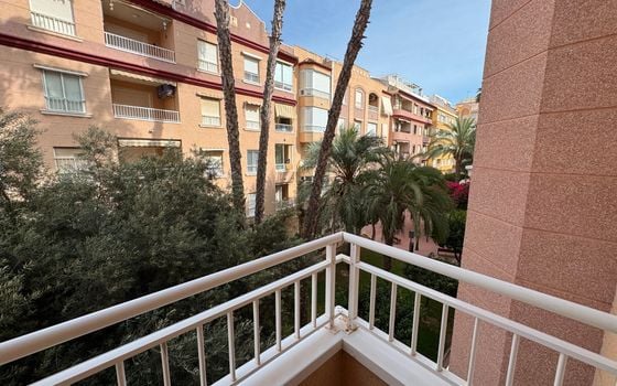3 bedroom Apartment in Guardamar del Segura - NSP157719 - Photo - Small - 15