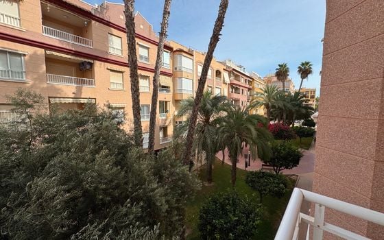 3 bedroom Apartment in Guardamar del Segura - NSP157719 - Photo - Small - 16