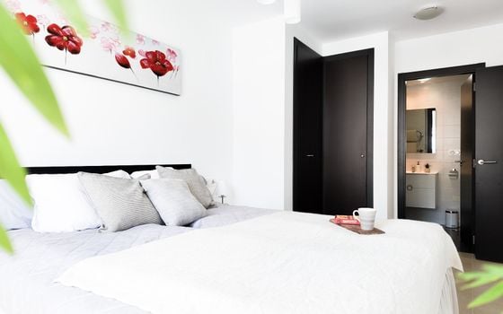 2 bedroom Penthouse in Villamartin - RPE157822 - Photo - Small - 13
