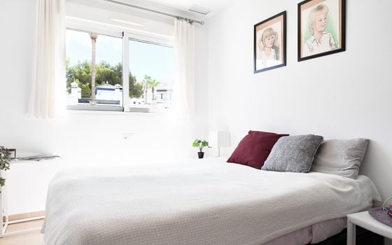2 bedroom Penthouse in Villamartin - RPE157822 - Photo - Small - 17