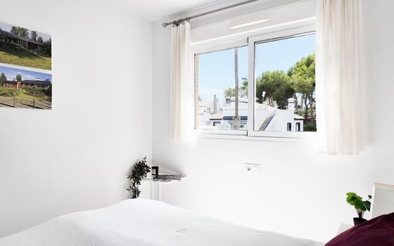 2 bedroom Penthouse in Villamartin - RPE157822 - Photo - Small - 18